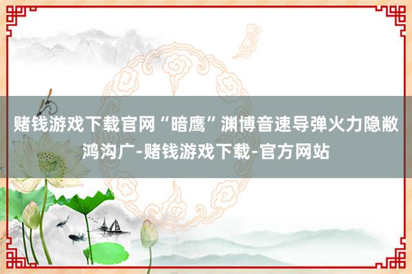 赌钱游戏下载官网“暗鹰”渊博音速导弹火力隐敝鸿沟广-赌钱游戏下载-官方网站