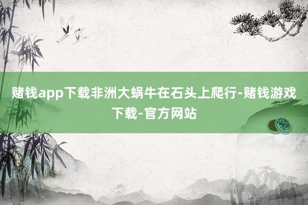 赌钱app下载非洲大蜗牛在石头上爬行-赌钱游戏下载-官方网站