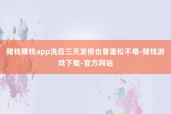 赌钱赚钱app洗后三天发根也曾蓬松不塌-赌钱游戏下载-官方网站
